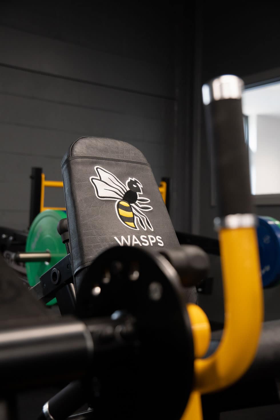 wasps rfc gym design indigofitness bench 1