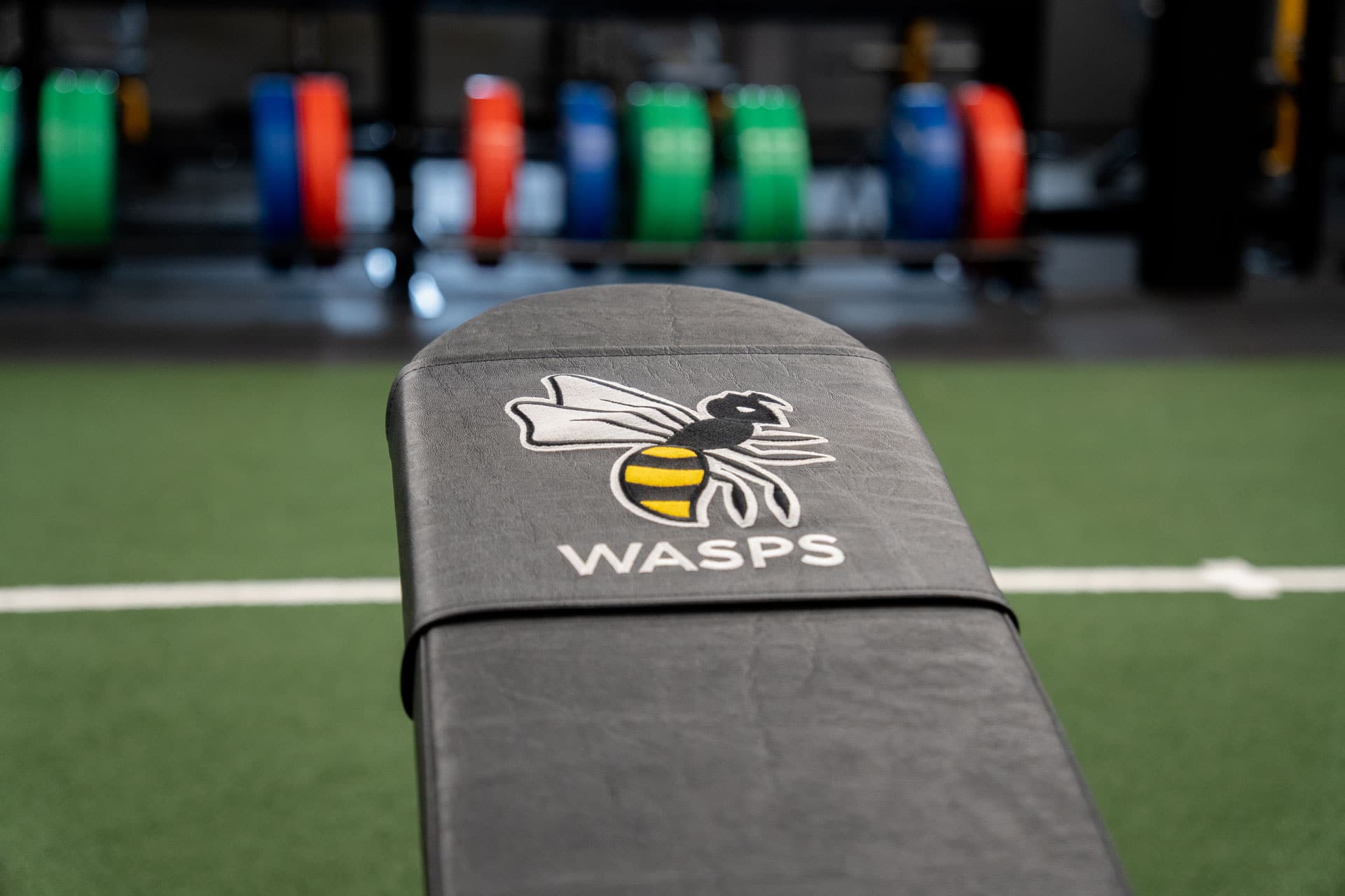 wasps rfc gym design indigofitness bench